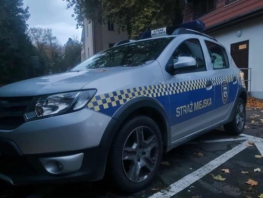 Miasto szuka nowego szefa Straży Miejskiej. Jest konkurs na stanowisko komendanta Miasto szuka nowego szefa Straży Miejskiej. Jest konkurs na stanowisko komendanta