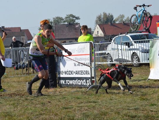 Międzynarodowe zmagania w Lubieszowie. Trwają mistrzostwa świata psich zaprzęgów. ZDJĘCIA