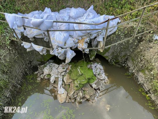 Mieszkańcy Koźla Port myśleli, że w potoku niebezpiecznie podniosła się woda. Na miejscu zastępy straży pożarnej