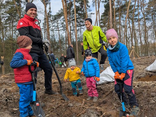 Mieszkańcy wspólnie sadzą las. Duża frekwencja na ekologicznej akcji