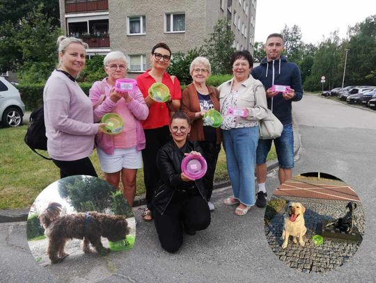 Miski z wodą pomogą osiedlowym zwierzakom podczas upałów. Świetna inicjatywa Rady Osiedla Piastów-Powstańców Śląskich