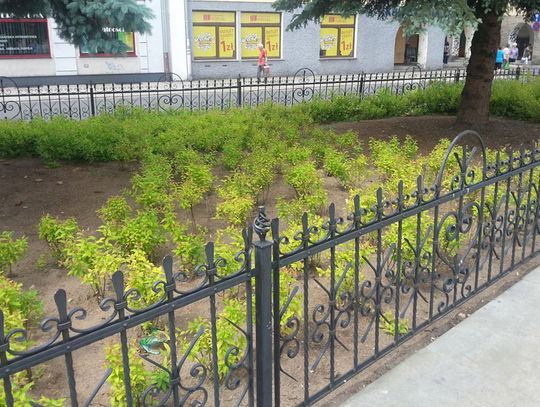 Można kupić sobie stalowe ogrodzenie, które kiedyś stało na rynku w Koźlu. Urząd czeka na oferty