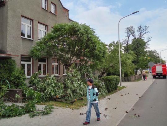 Nadciąga niż Fabienne. IMGW ostrzega: Wiatr może wiać z prędkością 100 km/h