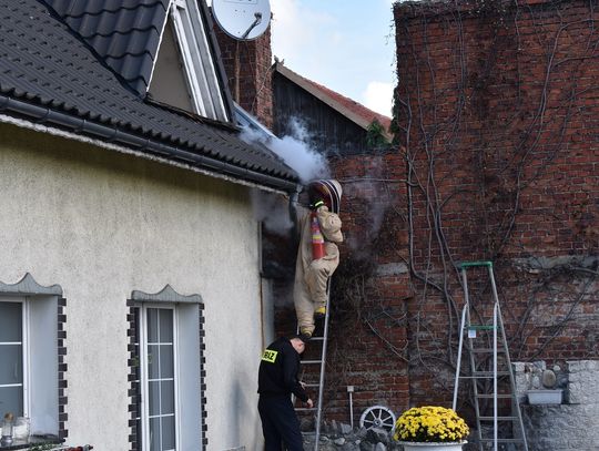 Nieproszeni goście w domu. Interweniowała straż pożarna