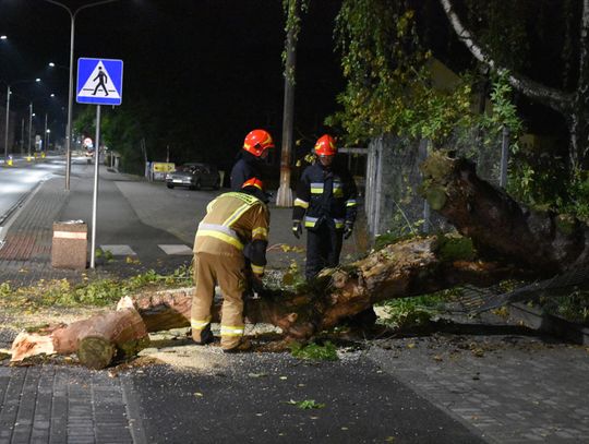 Nocna interwencja straży pożarnej. Na ulicę Kozielską zwaliło się drzewo