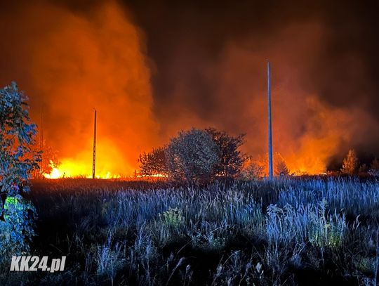 Nocny pożar nieużytków w Kłodnicy. Wszystko wskazuje, że to kolejna robota podpalacza