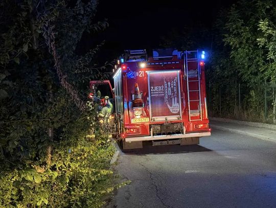 Nocny pożar w lesie przy torowisku. Strażacy walczą z ogniem w rejonie Blachowni