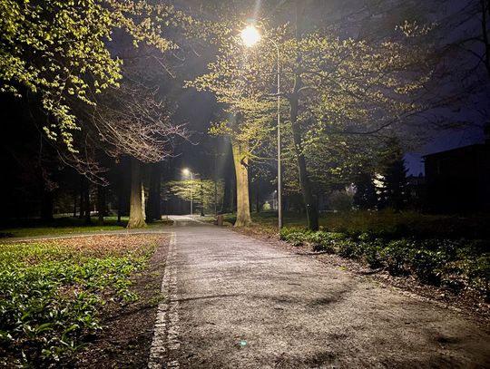 Nowe lampy w kozielskim parku nad Odrą. Teraz wieczorny spacer to czysta przyjemność