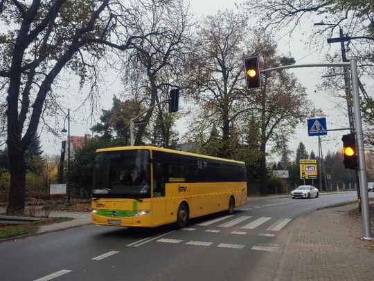 Nowe przejście z sygnalizacją świetlną w Koźlu. "Super ZEBRA" połączy dwie części parku