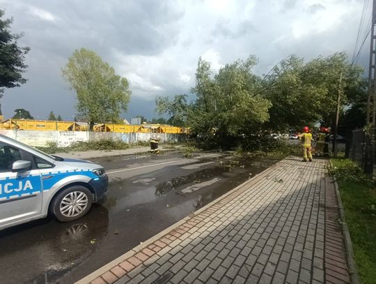 Oberwanie chmury nad Kędzierzynem-Koźlem. Powalone drzewa zablokowały ulice