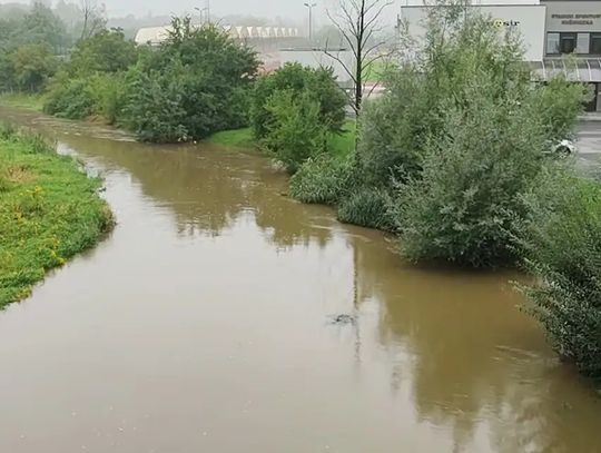 Odmulanie, remonty, ekspertyzy. Wody Polskie usuwają kolejne skutki powodzi