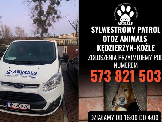 OTOZ Animals ma w Sylwestra specjalny patrol interwencyjny. Będzie pomagać zwierzętom, które przestraszyły się fajerwerków