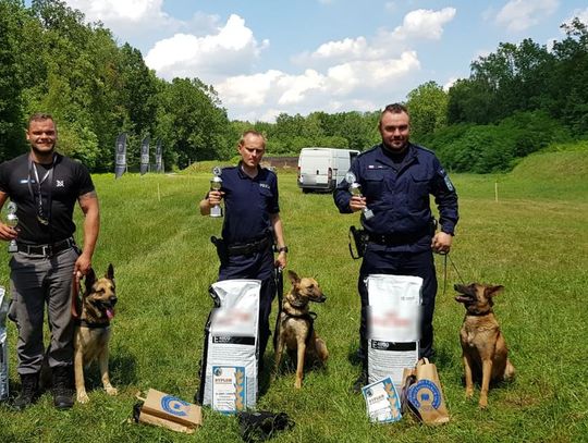 Patrol z Kędzierzyna-Koźla na medal. Andrzej Francuz i pies Hura drudzy na mistrzostwach tresury