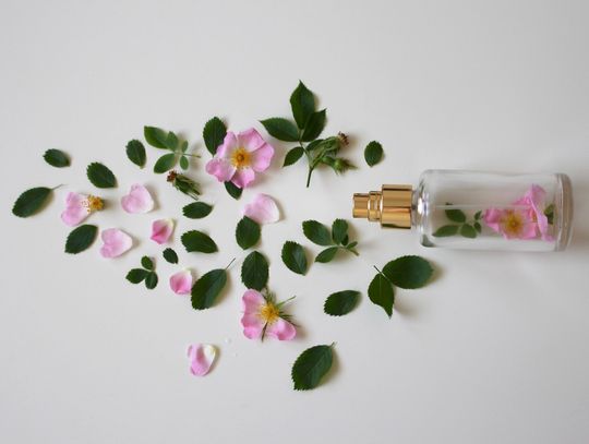 Perfumy damskie inspirowane – jak wybrać najlepsze zamienniki damskich perfum i nie przepłacać?