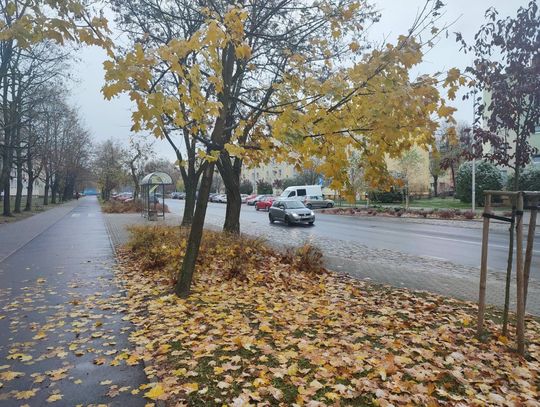 Pierwszy atak zimy w regionie. Meteorolodzy ostrzegają przed możliwym oblodzeniem