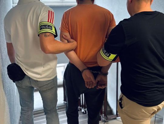 Pijany Rumun za kierownicą ciężarówki. Wpadł podczas rutynowej kontroli