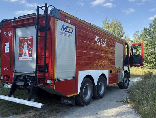 Płonie las przy osiedlu Azoty. Na miejscu kilka zastępów straży pożarnej