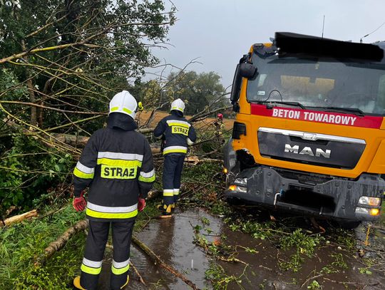 Po uderzeniu pioruna, drzewo spadło na samochód ciężarowy. Strażacy usuwali skutki burzy, która przeszła nad powiatem