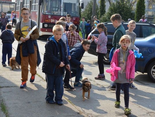 Podaj łapę bezdomnym psom i kotom. MZK organizuje zbiórkę karmy dla schroniska