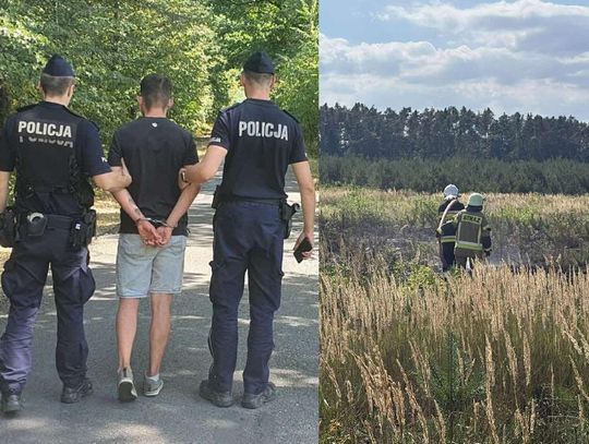 Podpalacz aresztowany. Odpowie przed sądem za pożar lasu