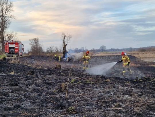 Podpalacz z gminy Polska Cerekiew nie odpuszcza. W dwa tygodnie odnotowano aż 13 pożarów