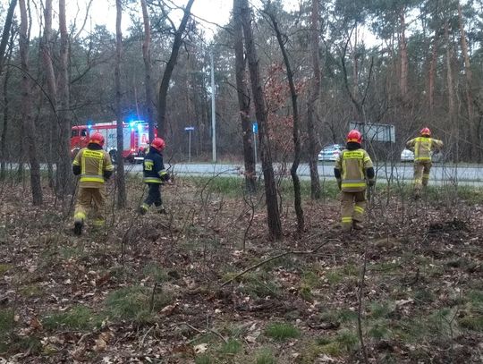 Podpalenie poszycia leśnego przy alei Lisa. Interwencja straży pożarnej