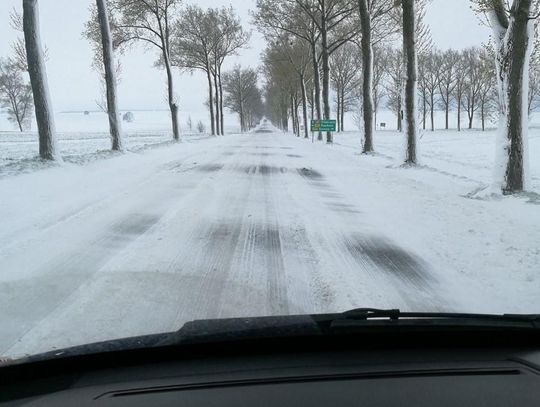 Połamane drzewa i przysypane drogi. Służby walczą ze skutkami nocnej śnieżycy