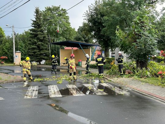 Połamane drzewa i uszkodzone linie energetyczne. Strażacy usuwają skutki ulewy