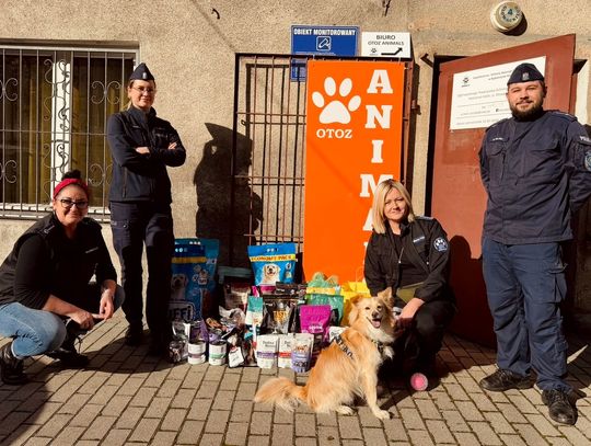 Policjanci z Kędzierzyna-Koźla zorganizowali zbiórkę darów dla bezdomnych zwierząt