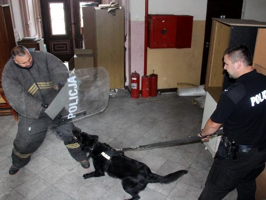 Policjanci z psami służbowymi szkolili się w Kędzierzynie-Koźlu. ZDJĘCIA