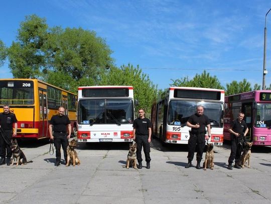 Policjanci z psami wykrywającymi narkotyki i ładunki wybuchowe szkolili się w naszych autobusach. ZDJĘCIA