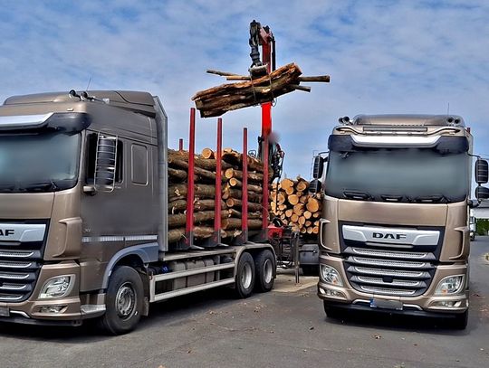 Poważne naruszenia przy transporcie drewna. Zespół pojazdów ważył blisko 13 ton więcej niż powinien