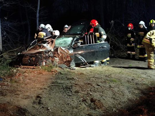 Poważny wypadek na drodze wojewódzkiej. Jaguar wypadł z drogi i wbił się w drzewo. ZDJĘCIA