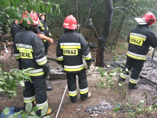 Pożar koczowiska w lesie przy Inparco. W akcji trzy zastępy straży pożarnej
