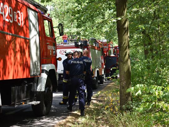 Pożar lasu między Cisową a Lenartowicami. Interwencja straży pożarnej