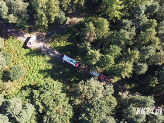 Pożar lasu pomiędzy Kłodnicą a Raszową. Na miejscu wiele zastępów straży pożarnej