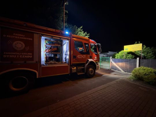 Pożar na ogródkach działkowych przy ul. Kozielskiej. Policja wyjaśnia okoliczności