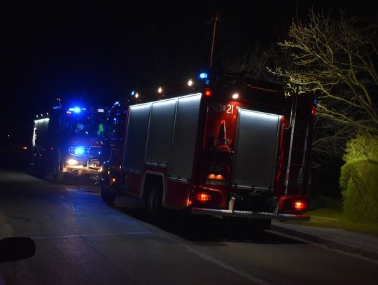 Pożar na terenie ogródków działkowych w Lenartowicach. Nocna interwencja straży pożarnej