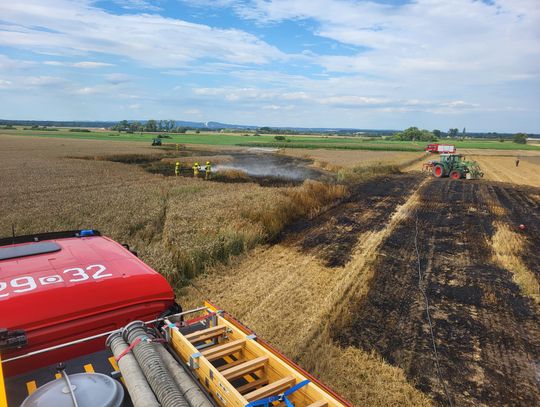 Pożar zboża na polu w Większycach. Szybka reakcja strażaków zapobiegła rozprzestrzenieniu ognia