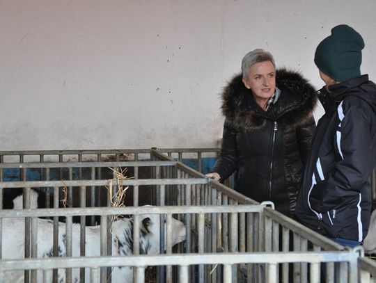 Prezydent Sabina Nowosielska z wizytą u miejskich rolników. Specjaliści od mleka