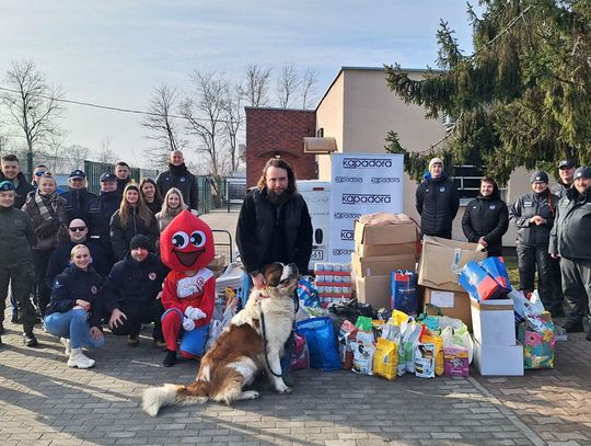 Promują krwiodawstwo, ale też pomagają zwierzętom. Klub HDK PCK „Kropelka krwi” ruszył z akcją dla schroniska
