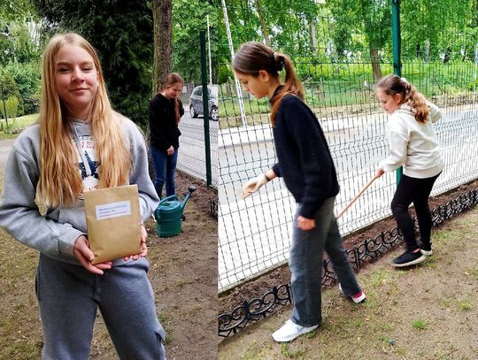 Przy "Jedynce" powstała łąka kwietna. Uczniowie sami dbają o zieleń przy szkole