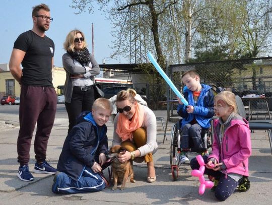 Przystanek podaj łapę! MZK wraz ze schroniskiem namawiają do adopcji zwierząt. ZDJĘCIA