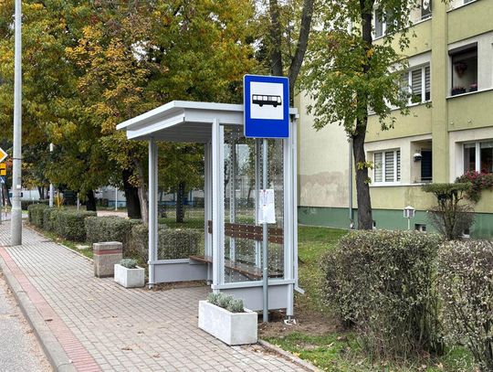 Przystanek z "żywym dachem" przy ulicy Stalmacha. Jest obsadzony specjalnymi gatunkami roślin