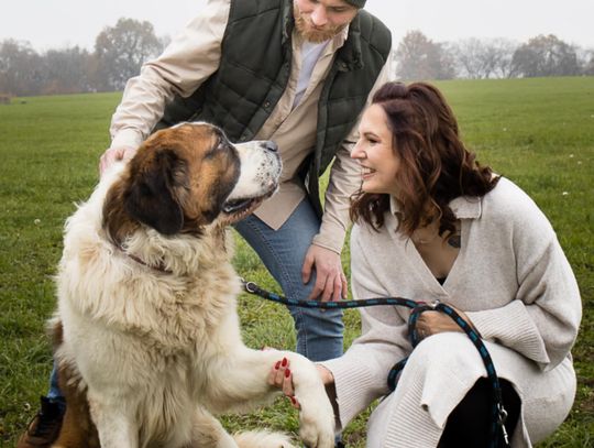 "Psytul" – niezwykły plener fotograficzny dla schroniskowych zwierząt. Pasja, emocje i miłość do czworonogów w służbie adopcji