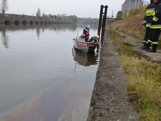 Ropopochodna substancja w portowym basenie. W akcji kilka zastępów straży pożarnej