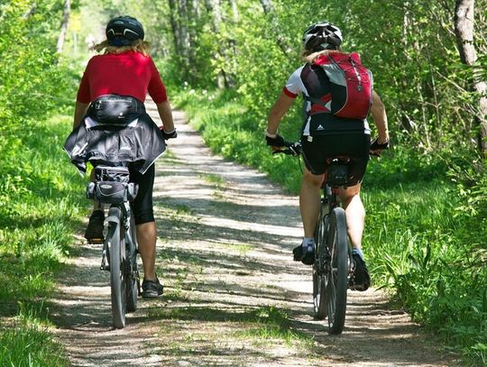 Rowerem po naszych lasach. Miejski Ośrodek Sportu i Rekreacji zaprasza na 40-kilometrowy rajd