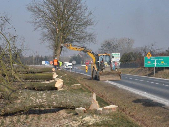 Ruszyła przebudowa DK 45. Drogowcy wycinają drzewa na odcinku kilku kilometrów. ZDJĘCIA