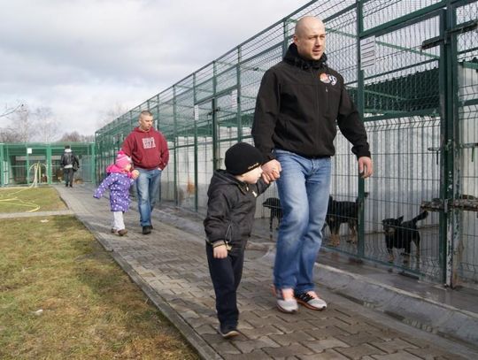 Schronisko dla bezdomnych zwierząt ma swojego kierownika. To człowiek z zewnątrz