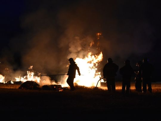 Seria nocnych pożarów zbóż. Podpalacz podłożył ogień w trzech miejscach. ZDJĘCIA